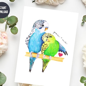 Cartão imprimível do amor do papagaio, cartão do dia dos namorados do casal do lovebird para a esposa/marido, cartão bonito do aniversário para namorado/namorada