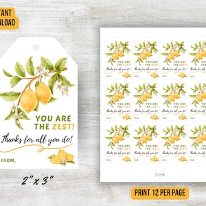 Imprimible eres la etiqueta de regalo de agradecimiento de Zest, etiqueta de regalo de agradecimiento de limón, etiqueta de agradecimiento de maestro/enfermera/personal/empleado/voluntario de limón