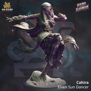 May include: A gray 3D printed miniature of a female elf in a flowing purple robe, with a headband and long hair. She is in a dancing pose with one leg raised. The miniature is on a round base with a rocky surface. The text "Cahira Elven Sun Dancer" is below the base.