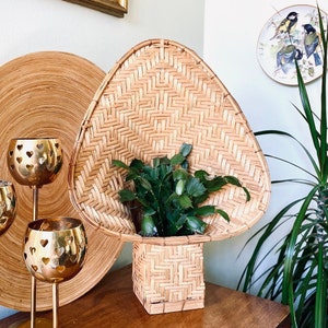 May include: A woven wicker chair with a plant inside. The chair is shaped like a large, open-ended cone. The plant is a small succulent with green leaves.
