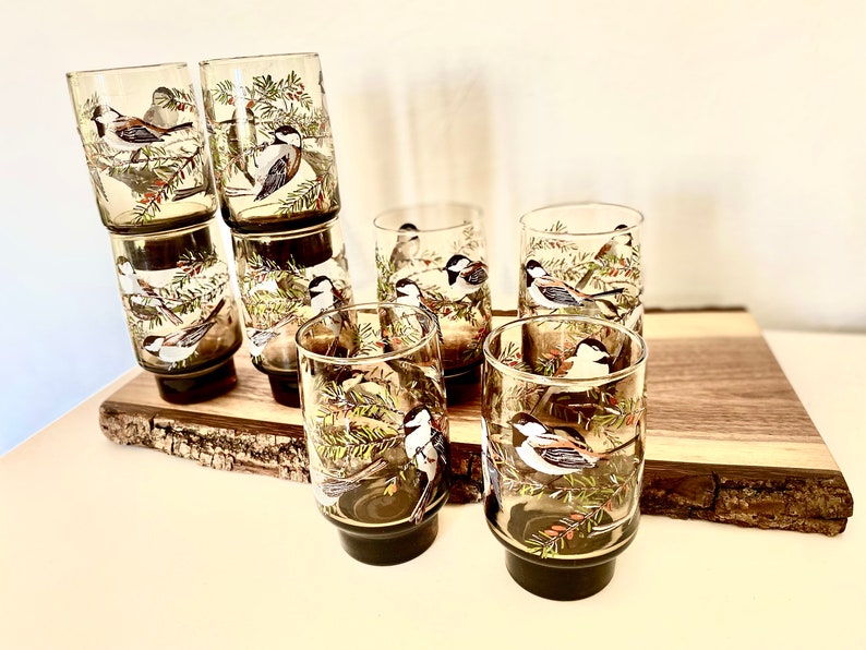 May include: A collection of eight vintage drinking glasses. Each glass is decorated with a detailed illustration of a bird on a branch with green leaves. The glasses have a dark brown base and are on a wooden surface.