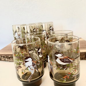 May include: A set of six vintage drinking glasses. Each glass has a detailed illustration of a bird on a branch with green leaves and red berries. The glasses have a dark brown base and a clear upper section.