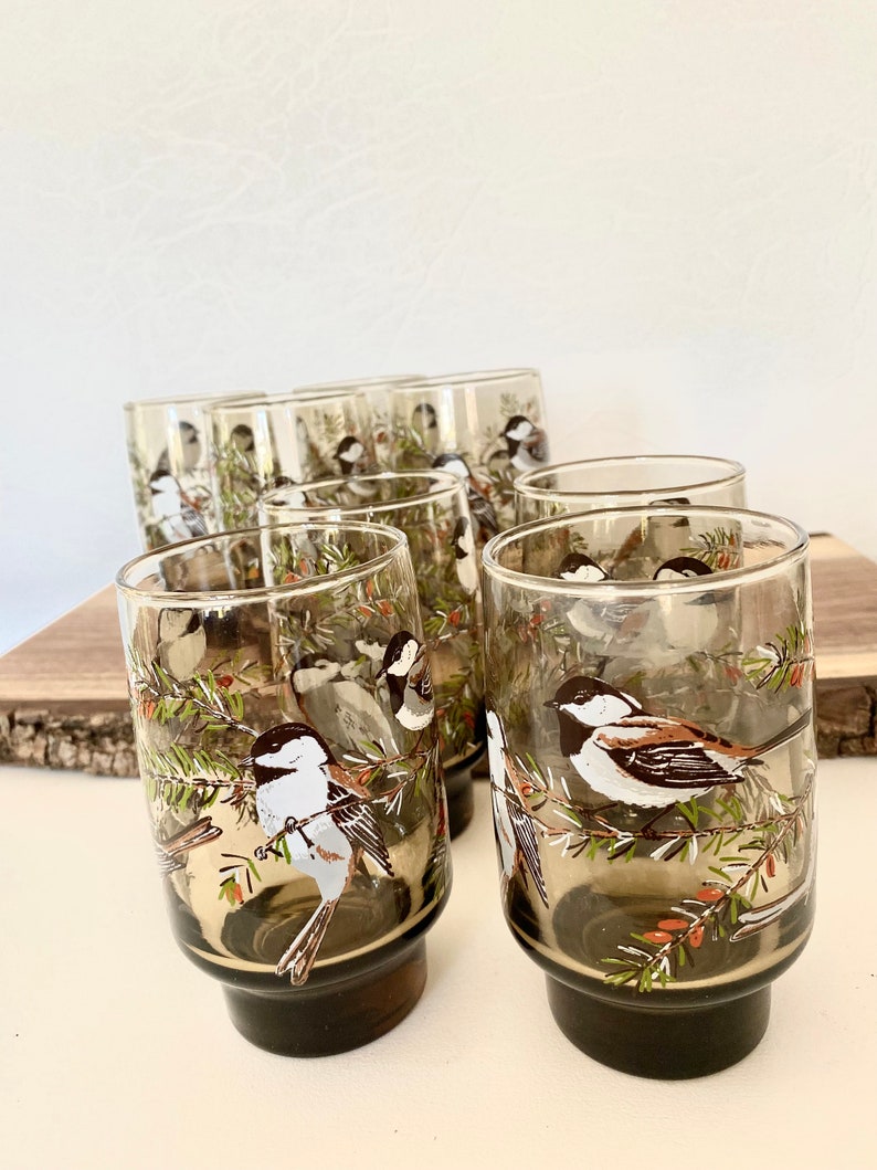 May include: A set of six vintage drinking glasses. Each glass has a detailed illustration of a bird on a branch with green leaves and red berries. The glasses have a dark brown base and a clear upper section.