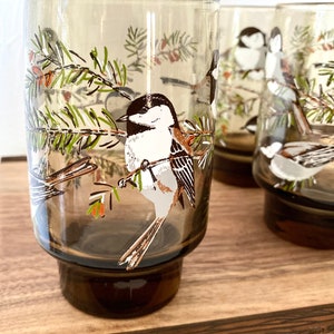 May include: Set of four vintage drinking glasses. Each glass features a detailed illustration of a bird perched on a branch with green leaves and red berries. The glasses have a brown base and a clear upper section.