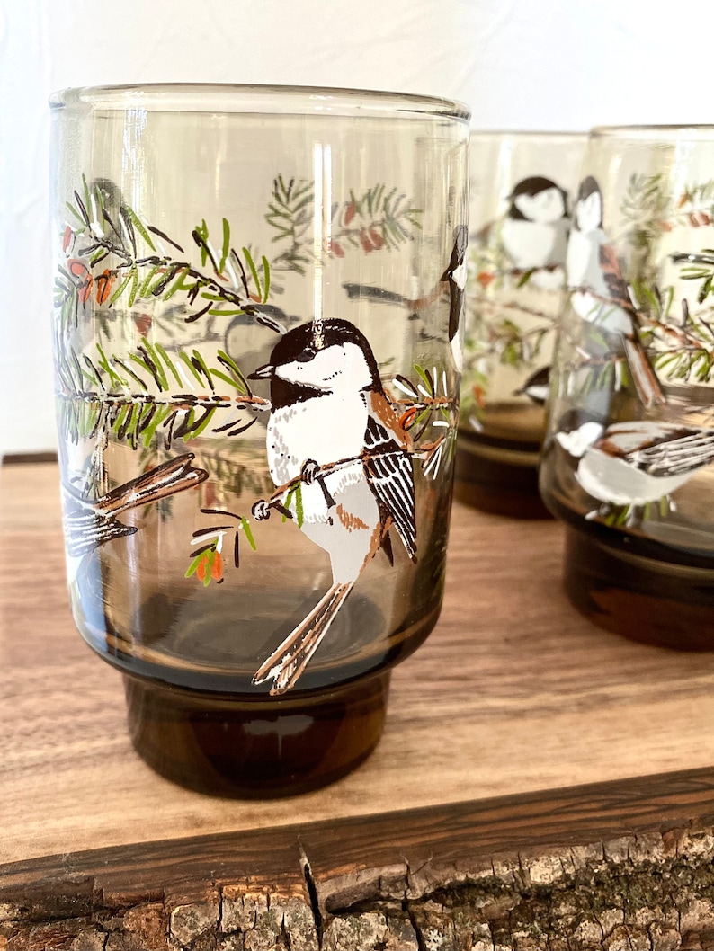 May include: Set of four vintage drinking glasses. Each glass features a detailed illustration of a bird perched on a branch with green leaves and red berries. The glasses have a brown base and a clear upper section.