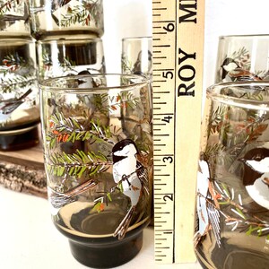May include: Set of vintage drinking glasses with a bird and branch design. The glasses are clear with a dark base and feature a detailed illustration of a bird perched on a branch with green needles and red berries. Each glass is approximately 7.6 cm tall.