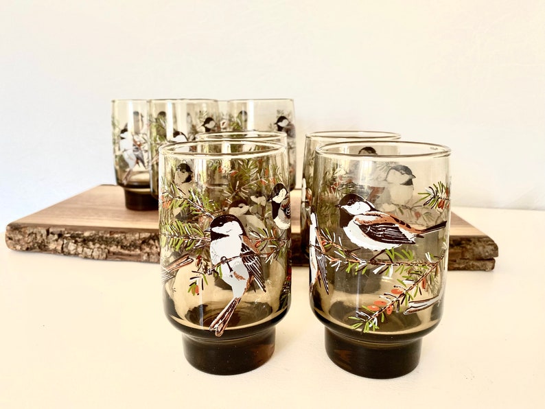 May include: A set of six vintage drinking glasses. Each glass is decorated with a detailed illustration of a bird on a branch with green needles and red berries. The glasses have a smoky grey tint and a sturdy, rounded base.