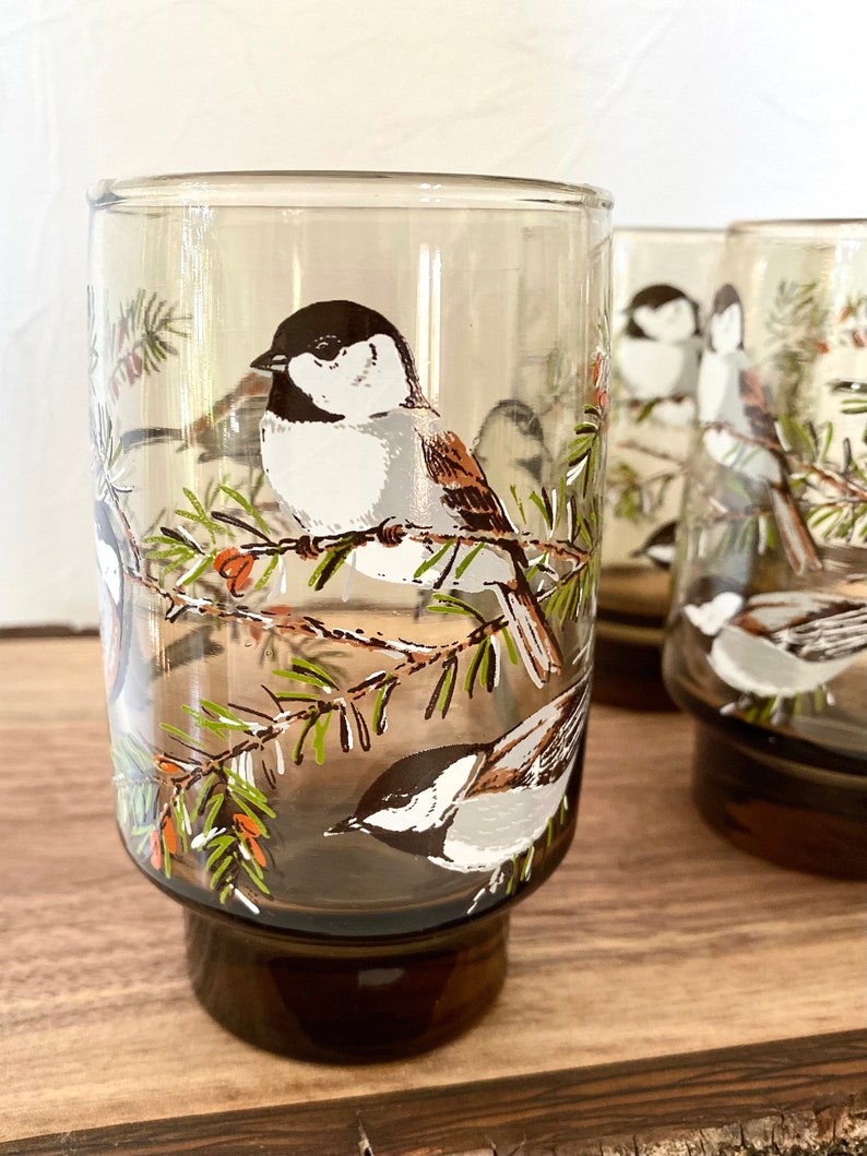 May include: Set of four vintage drinking glasses. Each glass has a brown base and a clear upper section with a painted design of a bird perched on a branch with green needles and orange berries. The birds have black, white, and brown markings.