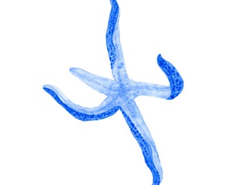 Blue Linckia Sea Star Fine Art Print A4/A3