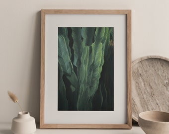 Cactus Painting Art Print Nature Artwork Botanical Wall Art Illustration Cacti Decor Cereus Peruvianus Gouache Painting Plant Print