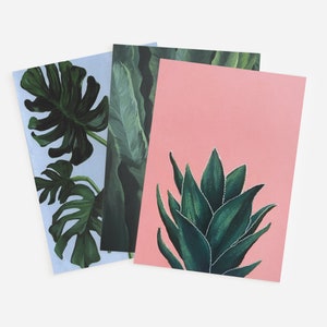 Tarjetas de felicitación botánicas en blanco con sobres, juego de 9 artículos de papelería para amantes de las plantas, regalo para cualquier ocasión para ella, paquete de tarjetas de notas de arte de la naturaleza
