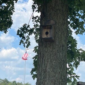 Hand Crafted Pine Birdhouses
