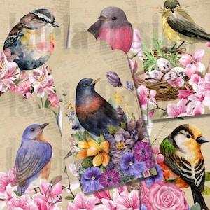 Vintage Birds Tags, Floral Gift Tags, Spring Journaling Tags, Printable Bird Ephemera, Junk Journal and Scrapbooking Supplies, Party Favors
