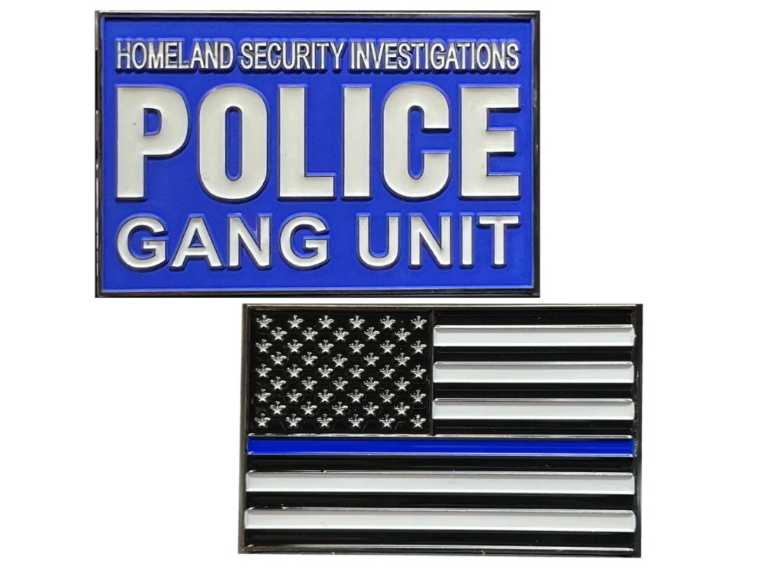 HSI Special Agent Police Challenge Coin Thin Blue Line American Flag Etsy