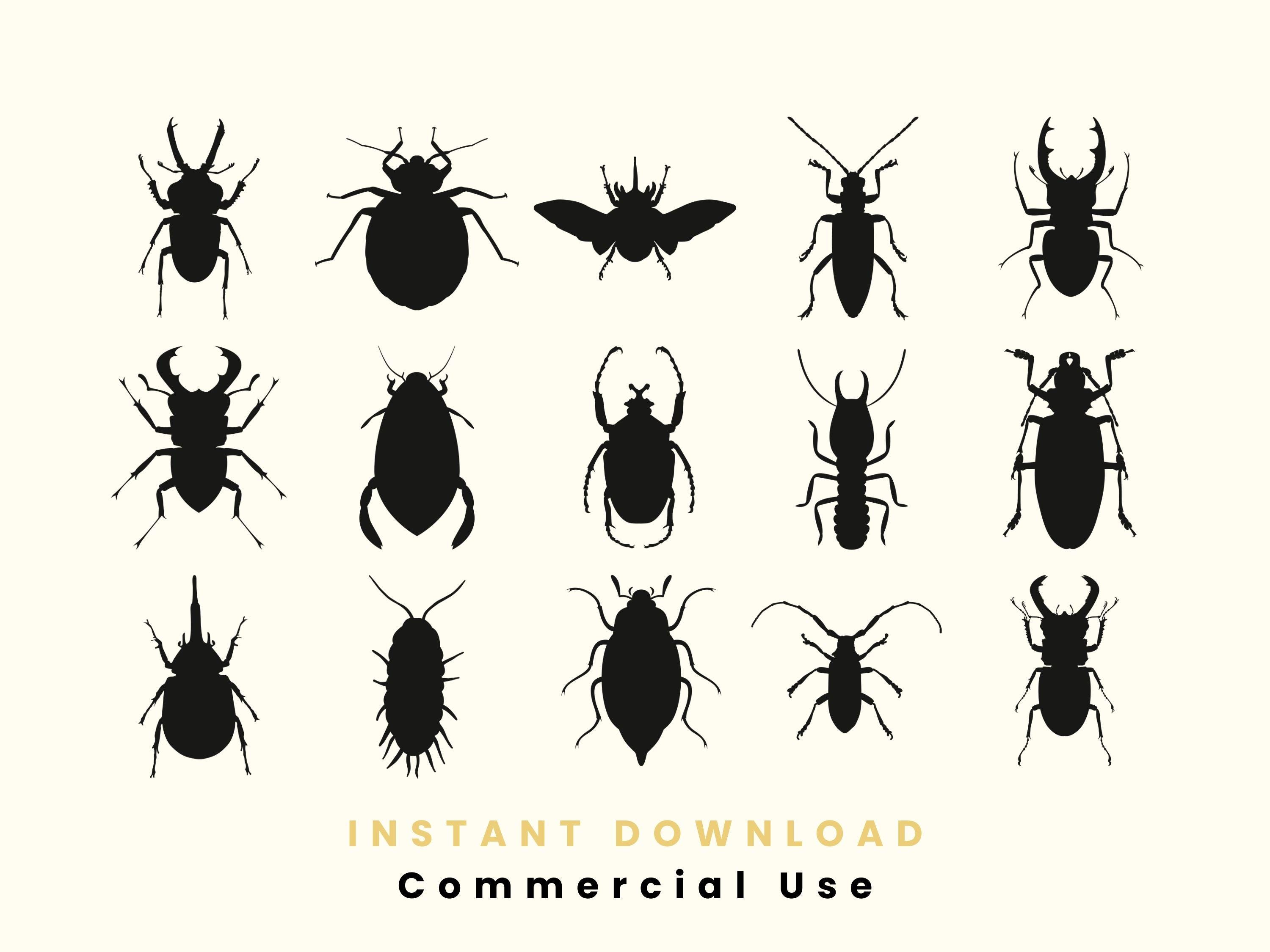 Beetle Svg Bundle, 15 Insect Silhouettes, Cricut Cut Files, Bug Clipart ...