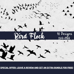 Bird Flock Svg, arquivos SVG para Cricut, Bird Svg, Birds Svg, Flying Birds SVG, Horror Clipart, Birds Cut File, Bird Cut File, Fly SVG