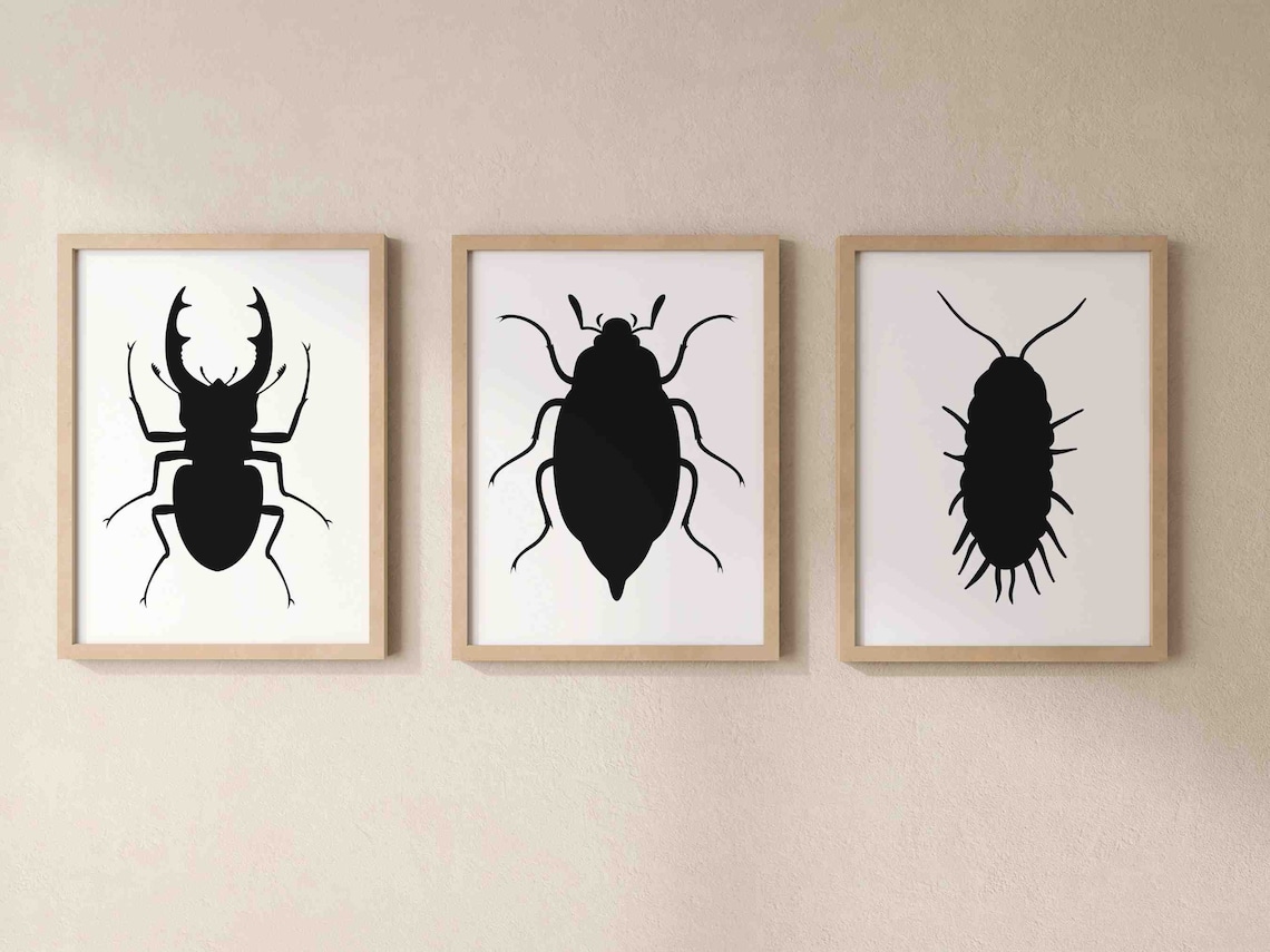 Beetle Svg Bundle, 15 Insect Silhouettes, Cricut Cut Files, Bug Clipart ...
