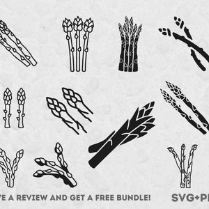Asperges SVG, Fichiers SVG pour Cricut, Clipart de ferme, Légumes SVG, Ferme SVG, Plante Clipart, Jardin SVG, Verts SVG, Potager Png