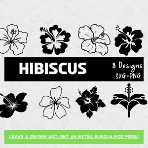 Hibiscus SVG, SVG Files for Cricut, Hawaii Flower, Flower clipart, Flower SVG, Hibiscus Clipart, Hawaii Svg, Hibiscus Cut File, Floral Png