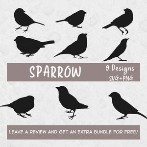 Spatz SVG Bundle, SVG-Dateien für Cricut, Spatz Clipart, Silhouette SVG, Sparrow PNG, Vogel SVG, Vogel Clipart, Cut Files, Vögel svg