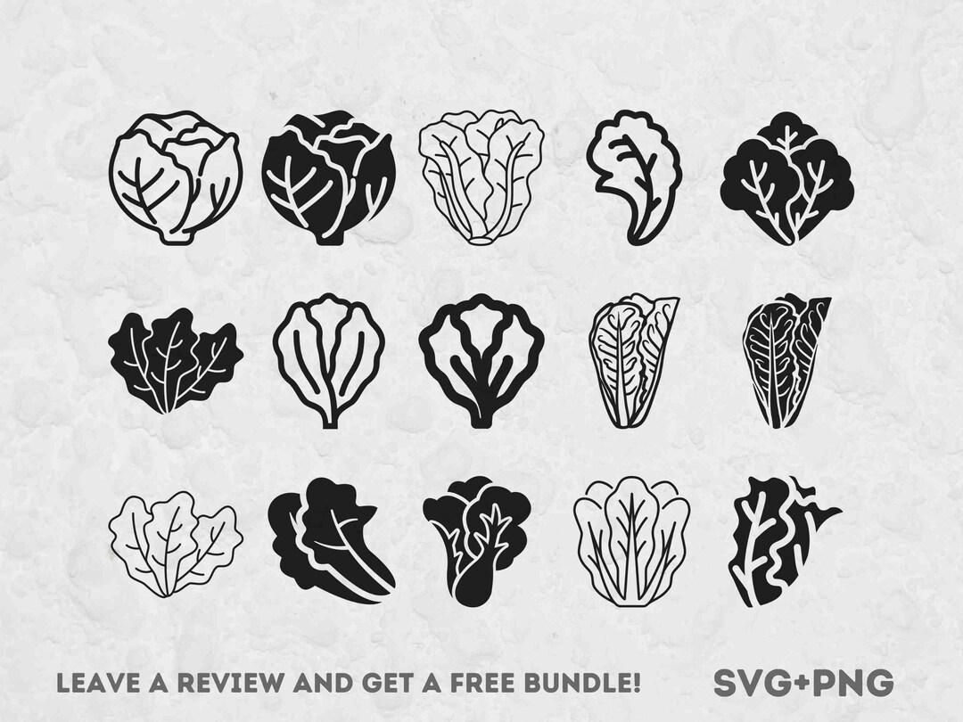 Lettuce SVG, SVG Files for Cricut, Garden Clipart, Vegetable Svg, Food