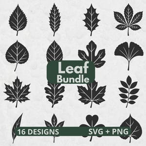 May include: A collection of 16 black leaf silhouettes arranged in a grid. The central text reads Leaf Bundle, while the bottom banner displays 16 DESIGNS SVG + PNG. The various leaf shapes include maple, oak, ginkgo, and other botanical forms.