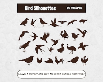 Bird Svg Bundle, SVG Files for Cricut, Bird Clipart Image, Bird Silhouette, Bird Watcher SVG, Bird Lover Svg, Bird Design Svg, Bird PNG