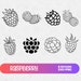 Raspberry Svg, SVG Files for Cricut, Raspberry PNG, SVG Bundle, Food ...