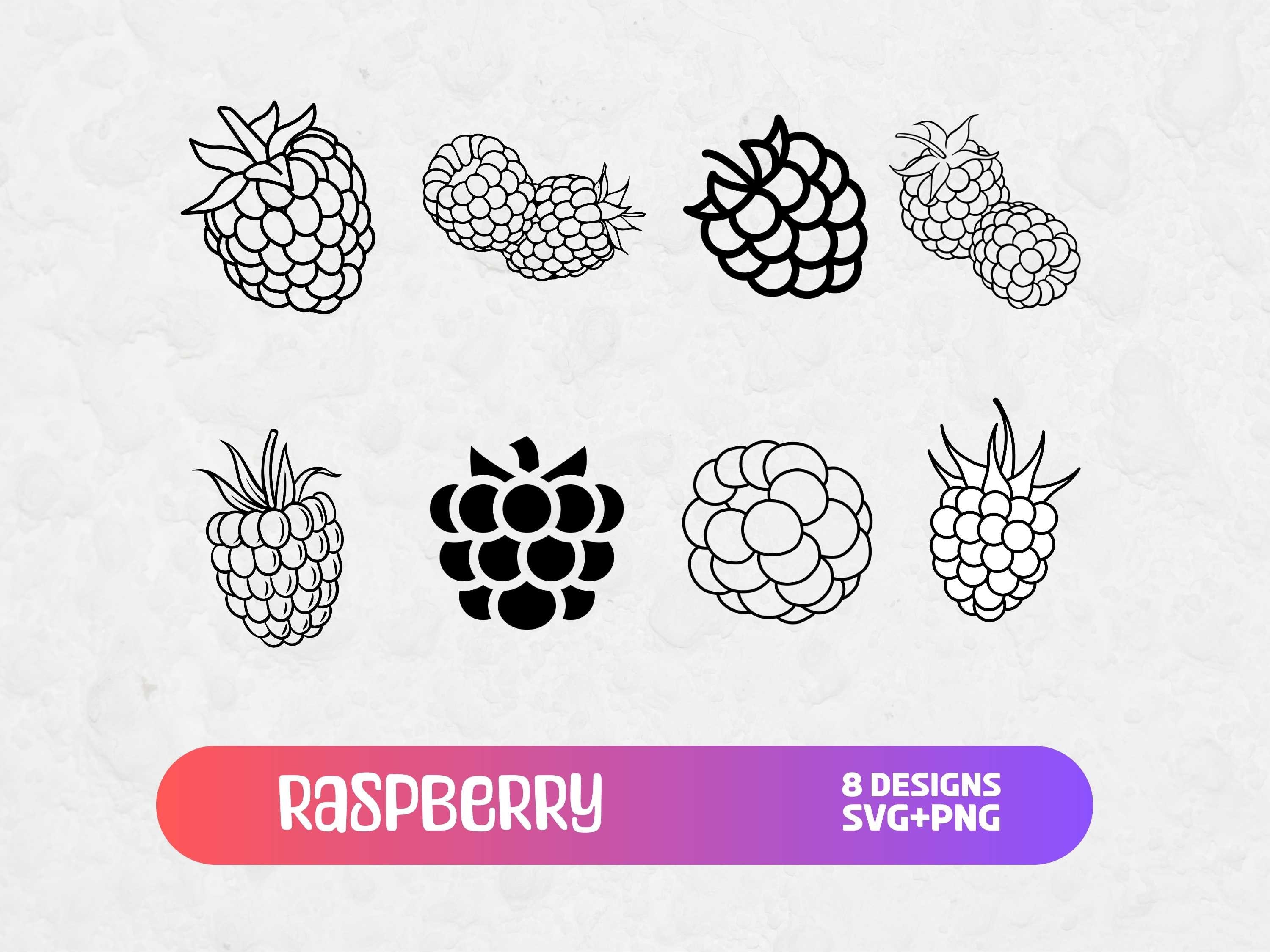 Cartoon Raspberry Svg Raspberry Svg, SVG Files for Cricut, Raspberry PNG, SVG Bundle, Food ...