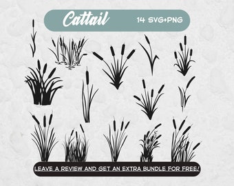 Cattail SVG, SVG Files for Cricut, Flower clipart, Flowers SVG, Cattail Flower Svg, Cattail Clipart Image, Summer Svg, Spring Svg, Floral