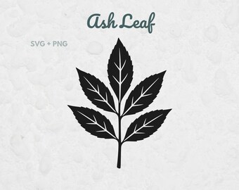 Ash Leaf SVG, Botanical Leaf for Cricut and Silhouette, Nature Decor