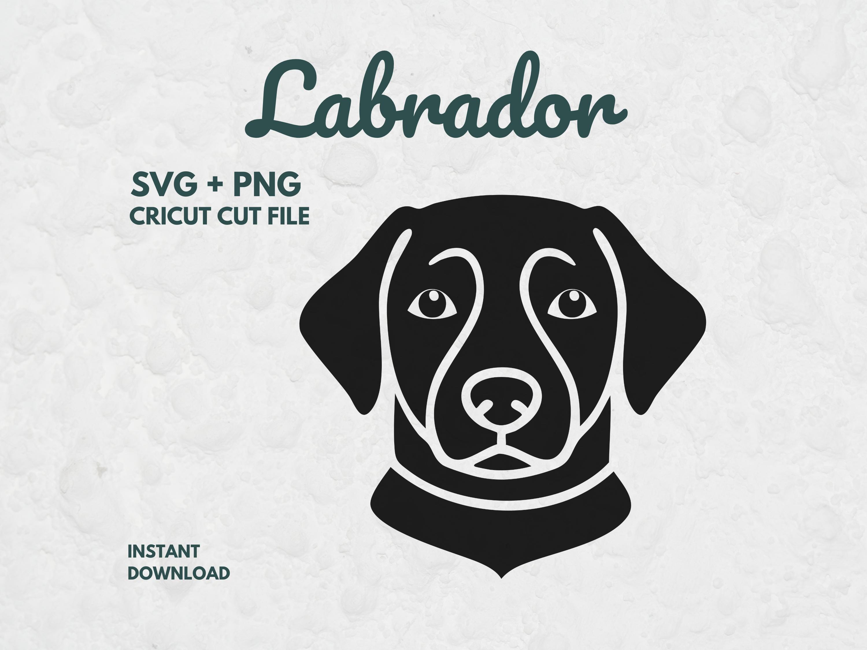 Labrador SVG PNG, Dog Face SVG, Labrador Retriever Cut File, Cricut ...