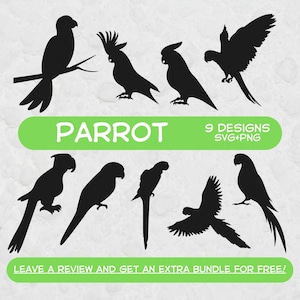 Parrot Svg Bundle, SVG Files for Cricut, Tropical Bird, Parrot Clipart, Tropical Svg, Parrot Silhouettes, Parrot Cut Files, Parrot Vectors