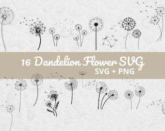 Paardenbloem SVG-bundel, bloemen SVG-snijbestand, paardenbloem SVG voor Cricut, botanische paardenbloem png-clipart