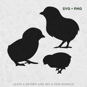 Baby Küken SVG, SVG-Dateien für Cricut, Küken Silhouette, Vogel SVG, Küken Design, Küken Clipart, Ostern SVG, Silhouette eines Kükens, Vögel svg