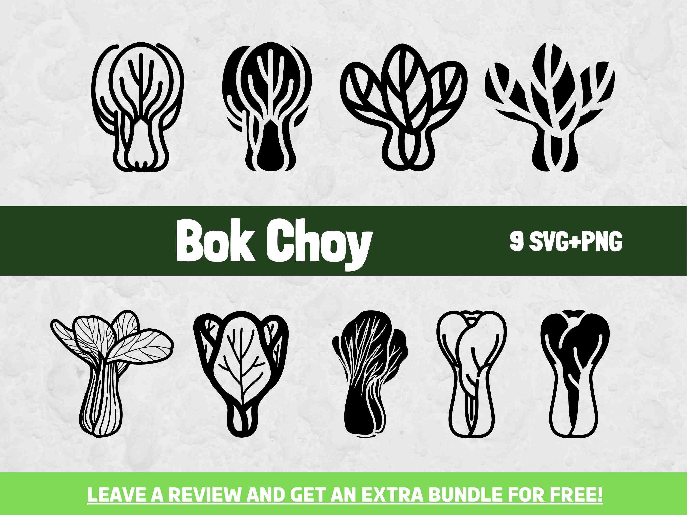 Bok Choy SVG SVG Files for Cricut Asian Clipart Vegetable - Etsy