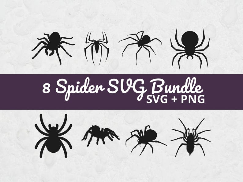 Peut inclure: Un ensemble de motifs num&eacute;riques avec huit silhouettes d'araign&eacute;es noires dans diff&eacute;rentes poses. Le texte "8 Spider SVG Bundle SVG + PNG" est affich&eacute; sur une banni&egrave;re violet fonc&eacute;. Les araign&eacute;es sont sur un fond clair et textur&eacute;.