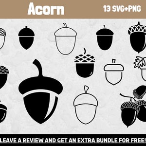 Acorn, Acorn Clip Art, Fall, Acorn Bundle, Assorted Colors, SVG, PNG, Clip  Art, Instant Digital Download -  Israel
