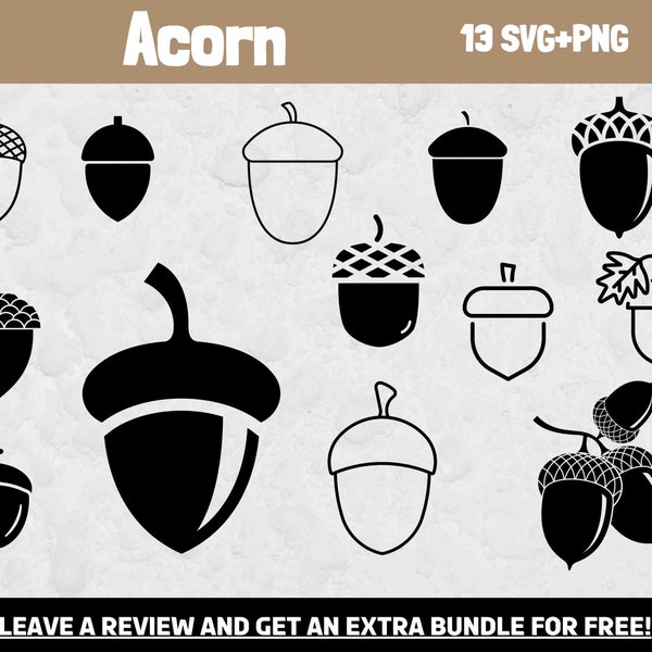 Acorn SVG Bundle, SVG Files for Cricut, Acorn clipart, Nut SVG, Forest Clipart, nature svg, Summer Svg, Acton Cut File, Squirrel Svg