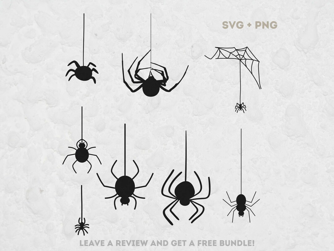 Hanging Spider Svg Bundle, Svg Files for Cricut, Spider Clipart, Spider