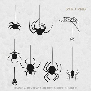 Hängende Spinne SVG-Bundle, SVG-Dateien für Cricut, Spinne Clipart, Spinne Silhouette, Halloween Spinne SVG, SVG-Schnittdateien, Insekt Clipart