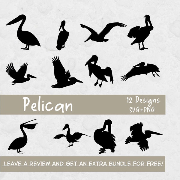 Pelican SVG Cut File, Svg Files for Cricut, Pelican PNG, Bird Svg, Bird Clipart, Pelican Silhouette, Sea Bird, Pelican Clipart, Sea SVG