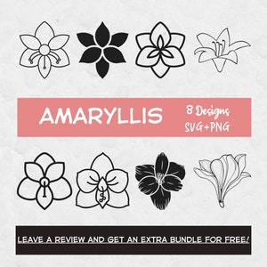Amaryllis SVG File, SVG Files for Cricut, Flower clipart, Flowers SVG, Amaryllis Clipart, Plant Svg, Amaryllis Cut File, Amaryllis Flower