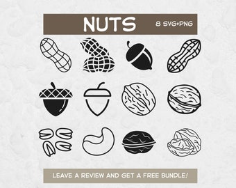 Nuts SVG Bundle, SVG Files for Cricut, Nut clipart, Nature SVG, Forest Clipart, Nut Cut File, Summer Svg, Food Clipart, Squirrel Svg