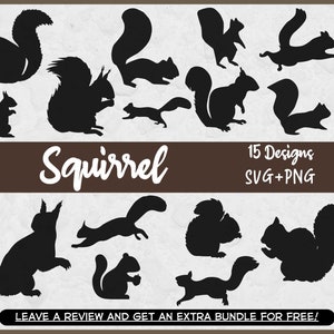 Bundle Svg écureuil, fichiers SVG pour Cricut, vecteur écureuil, fichier coupe écureuil, silhouettes d'écureuils, tamia Svg, image clipart écureuil