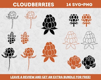 Cloudberry Svg, SVG Files for Cricut, Berry SVG, Flowers Svg, Berry Clipart, Food svg, Berries Svg, Cloudberry Cut File, Cloudberry Design