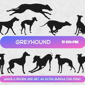 Greyhound Svg Bundle, file Svg per Cricut, Dog Race SVG, Greyhound Clipart, Greyhound Vector, Greyhound Cut File