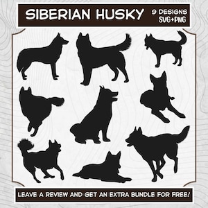 Siberian Husky Svg, Svg files for Cricut, Husky Silhouette, Siberian Husky PNG, Dog SVG, Dog Silhouettes, Siberian Husky Cut File