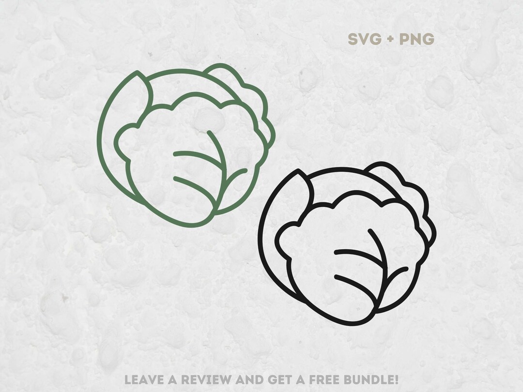 Cabbage Outline SVG SVG Files for Cricut Garden Clipart Etsy