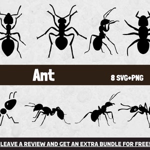 Ant Svg Cut File, Ant PNG, Ant Vector, Insect Svg, Ant Clipart, Silhouette Svg, Insect Clipart, Bug SVG, Ant Png, Ant Silhouettes, Ants